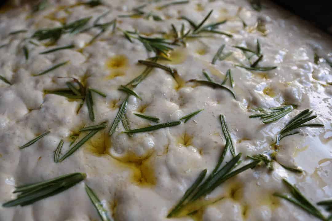 Focaccia roh